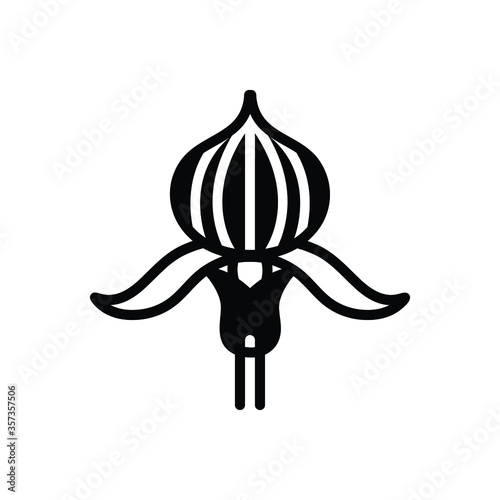 Black solid icon for lady’s slipper orchid photo