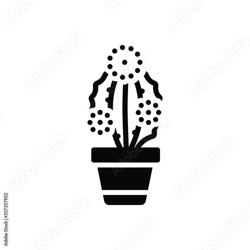 Mix icon for prickly pear