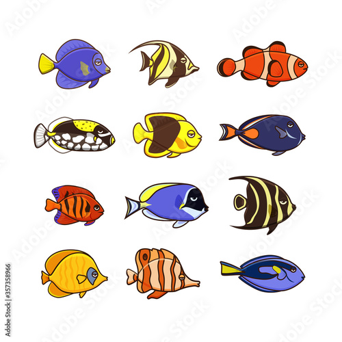 Cute fish vector illustration icons set. Tropical fish, sea fish,