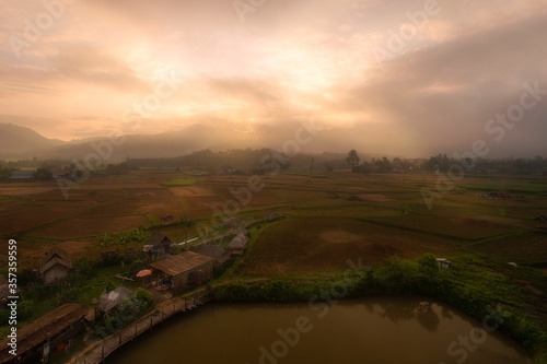 landscape with foggy over ricefield