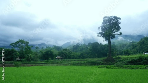 landscape in the mountains