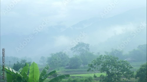 morning in the mountains