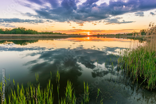 Scenic view at beautiful spring sunset with reflection on a shiny lake with green reeds, bushes, grass, golden sun rays, water ,deep blue cloudy sky and glow on a background, spring evening landscape