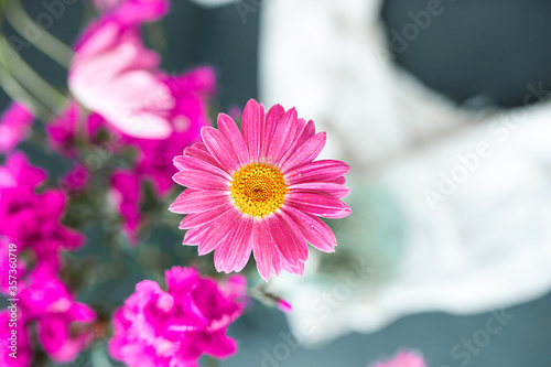 large pink Daisy with yellow heart close-up against blurry bouquet of pink wildflowers and a white cotton napkin  greeting card with flowers  selective focus  depth of field