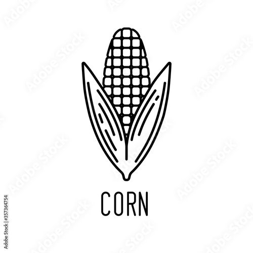 Corn line icon. Vector illu...