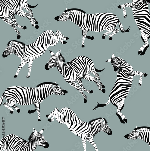 Zebras pattern wildlife for print media