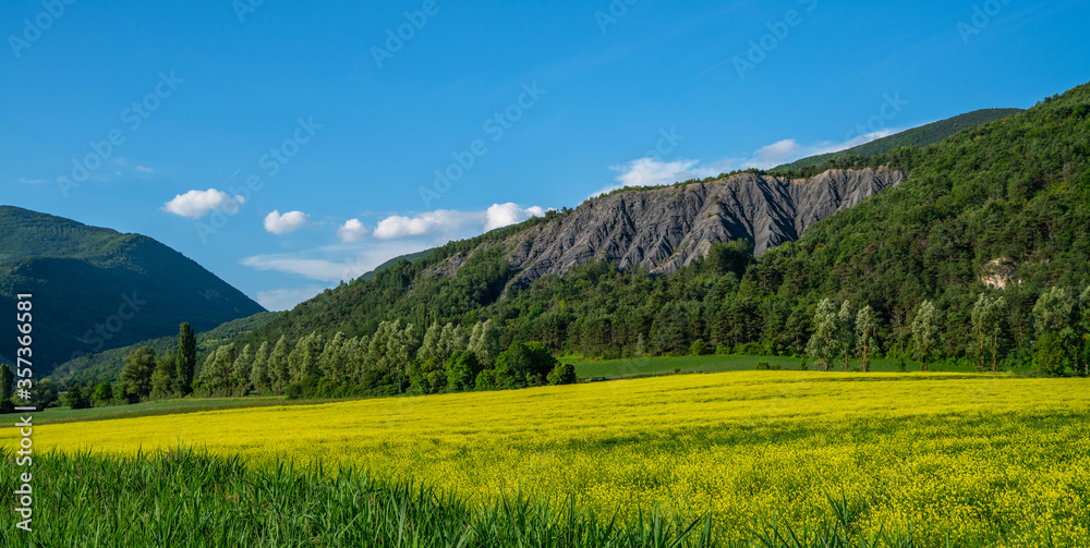 Amazing bright colorful spring and summer landscape. Yellow fields of flowering rape and blue sky with clouds. Natural landscape background, Europe.
