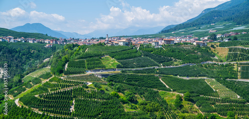 Panoramic view of the Val di Non at summer season. Scenic view of vineyards and apple tree garden in Trentino-Alto Adige region of South Tyrol, Italy. Beautiful small Alpine village on a background.