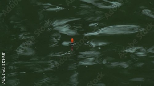When fishing, in the middle of the action, watching the movement on the water