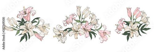 White and pink lilies, flower arrangements on a white background, set, vector illustration