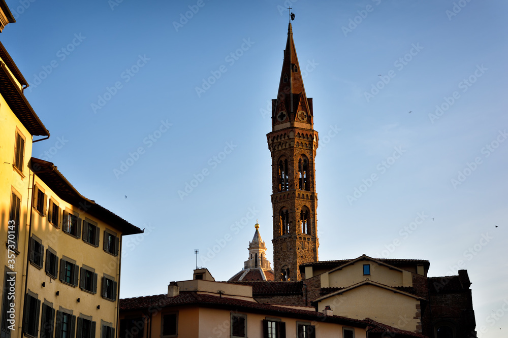 Obraz premium view of Florence