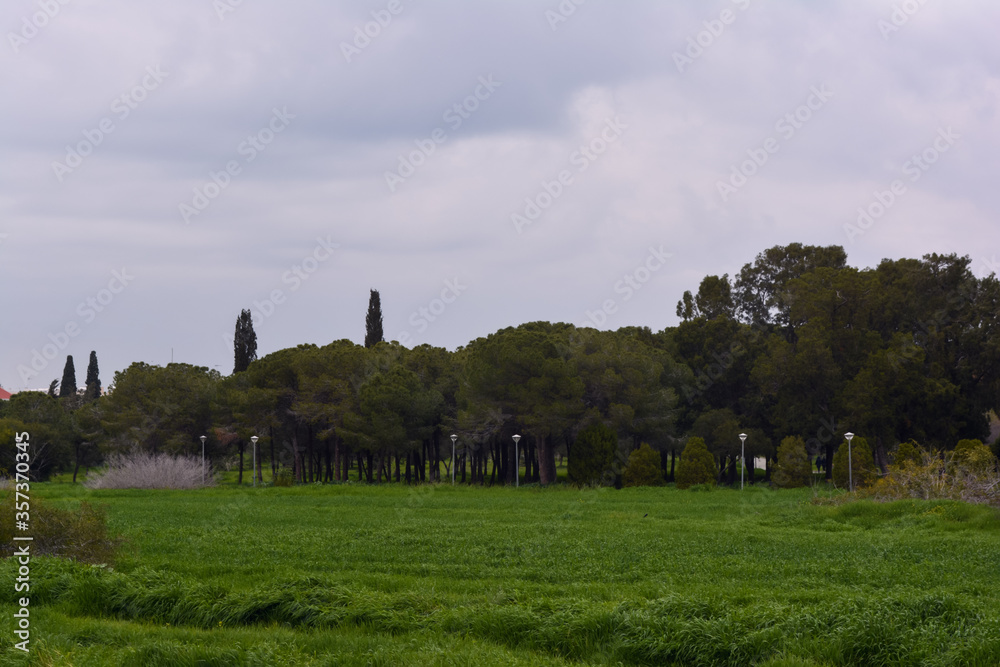 park with green trees, bushes, grass, surrounded by lampposts on a cloudy day on the island of Cyprus
