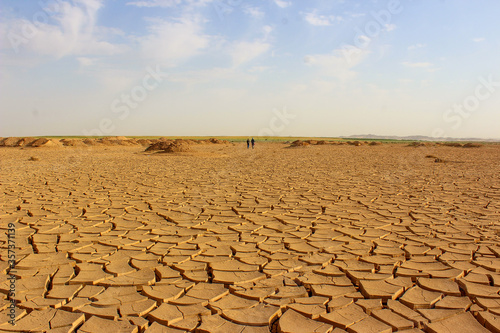 dry cracked earth or soil, dry paddy background 