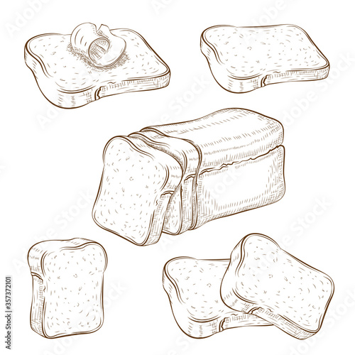 set of drawn sliced bread and toasts illustration isolated on white. wheat rye or whole grain square loaf with various bread slices. sandwich icons collection. Vector vintage engraved sketch. clip art