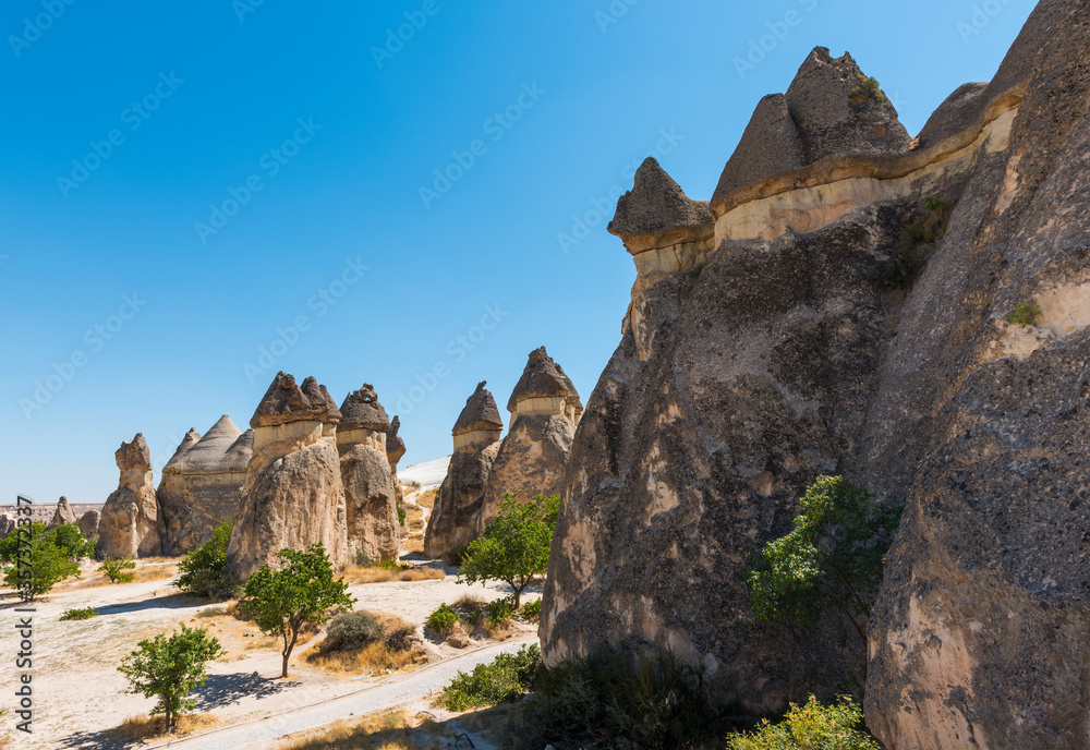 Pasabag Monks Valley with Fairy Chimneys and Mushroom Rock