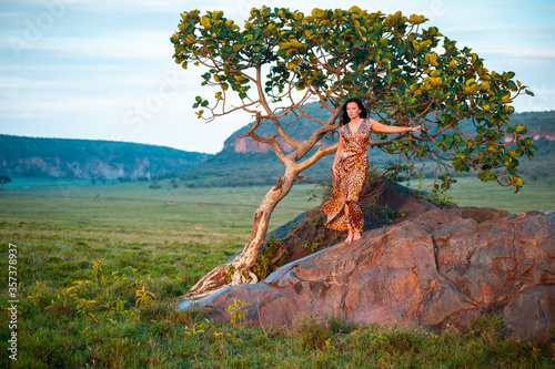 Woman on the rock and tree