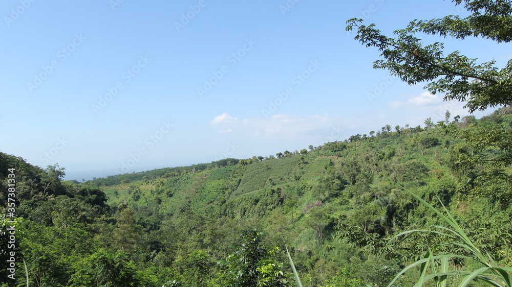 fresh hilltop with bright blue sky