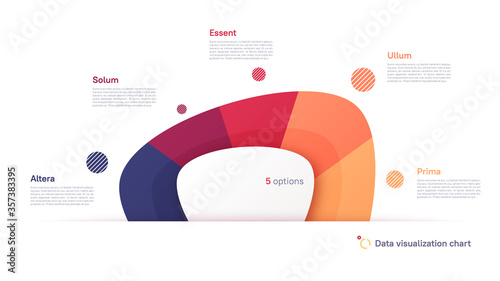 Vector pie chart infographic template in the form of abstract shape divided by five parts photo