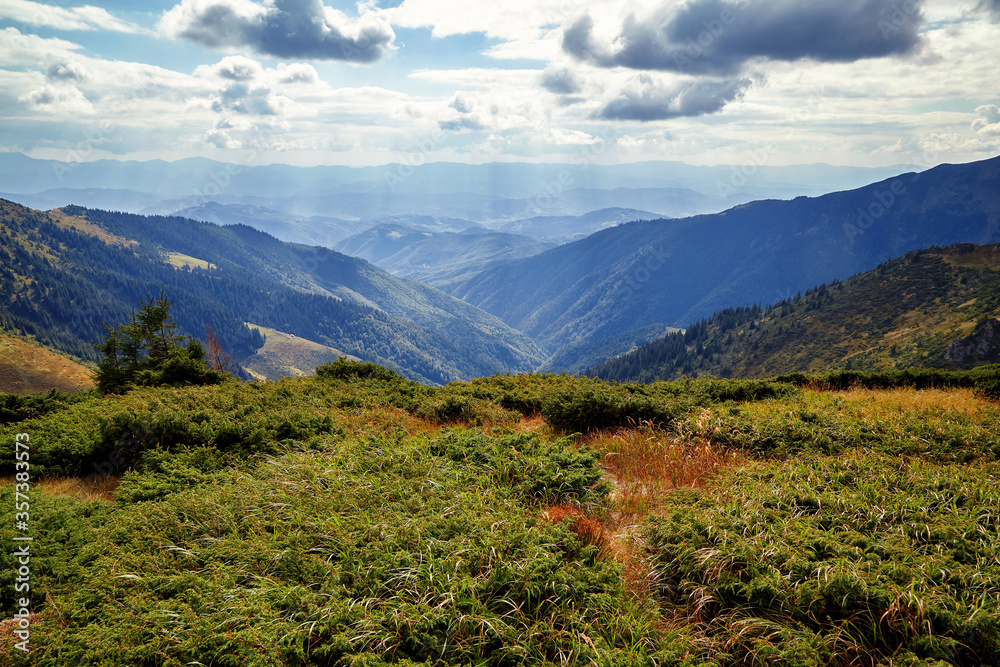 Fototapeta premium Beautiful mountains and forrest hills with yellow grass scenic outdoor view, autumn rural landscape with cloudy sky. Adventure, mountain hiking. Beautiful moody light. Panoramic view background