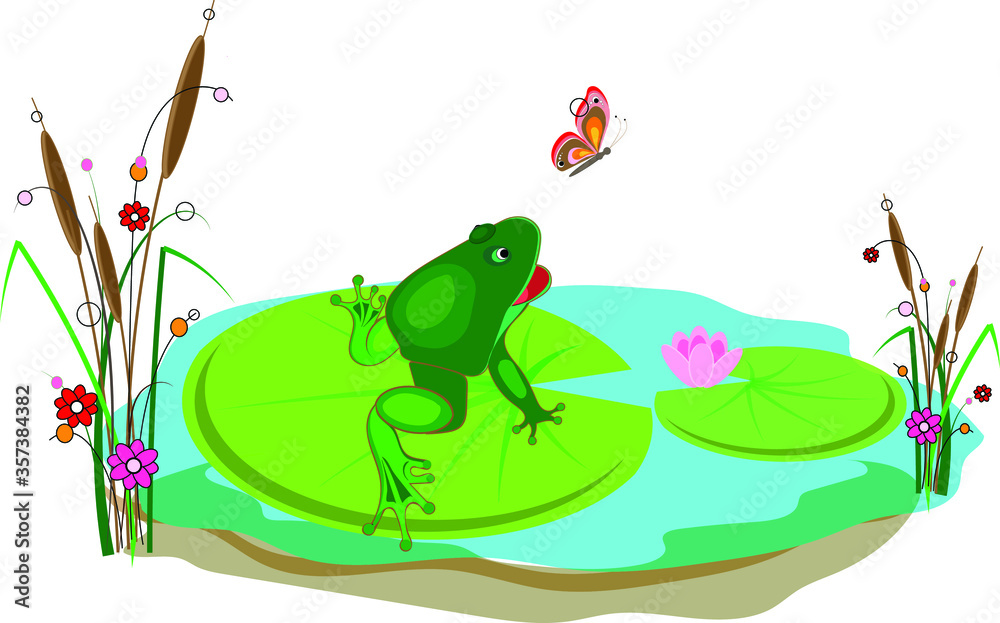 Obraz premium A cute green frog sits on a leaf of a water lily in a pond and catches a beautiful butterfly. Vector illustration for design.