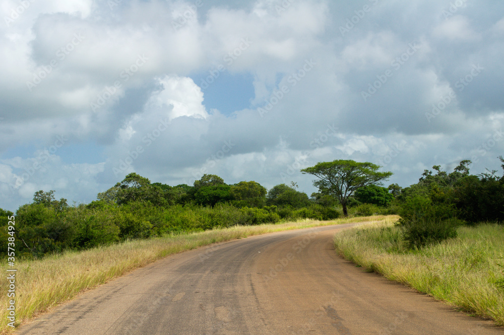 African road in savanna, South Africa, Kruger national park
