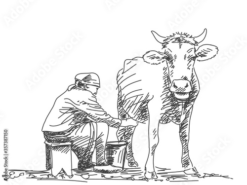 milking