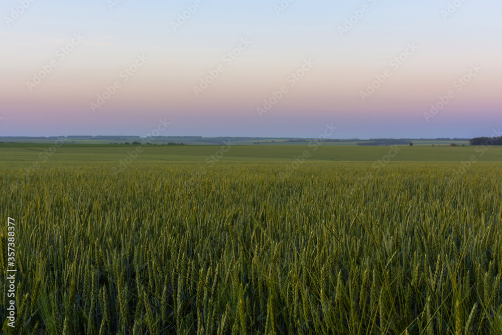 Sunset sunrise over field or meadow. Bright dramatic sky and dark ground.