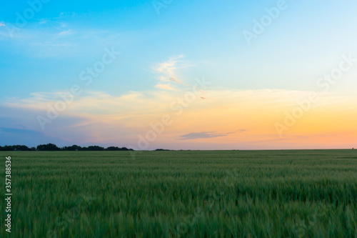 Sunset sunrise over field or meadow. Bright dramatic sky and dark ground. © ArturSniezhyn