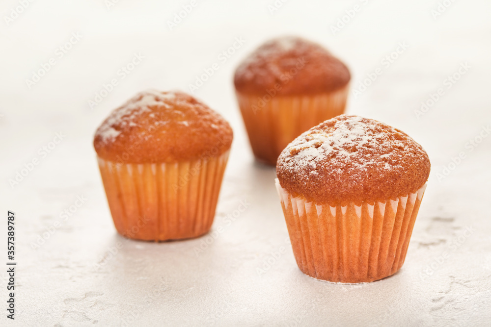 Close-up of vanilla muffins in powdered sugar. Selective focus Close-up of vanilla muffins in powdered sugar. Selective focus
