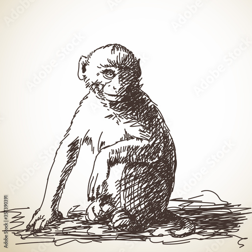 monkey