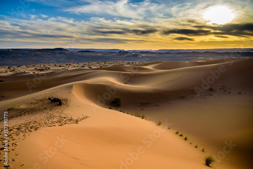 Resting camles on the Sahara  Earth s Largest Hot Desert