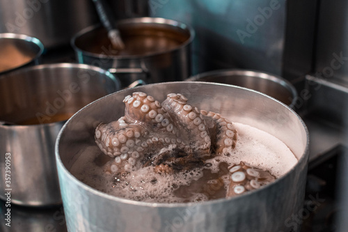 Poulp/octopus boiling in a pan, in a French restaurant photo