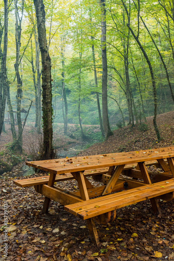 Autumn view in Belgrad Forest (Turkish: Belgrad Ormani) in Istanbul, Turkey. Autumn view in Belgrad Forest (Turkish: Belgrad Ormani) in Istanbul, Turkey.