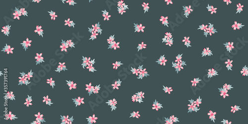 Fotografía Simple cute pattern in small beauteous flower of mallow