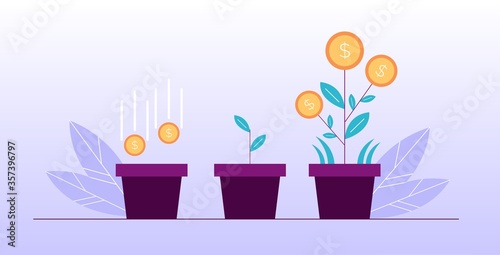 Money flower investment deposit growth design concept