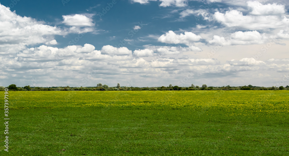Fototapeta premium Loire-Atlantique, France, June 2020: photo of a magnificent meadow in the marshes of Sainte Lumine de Coutais.