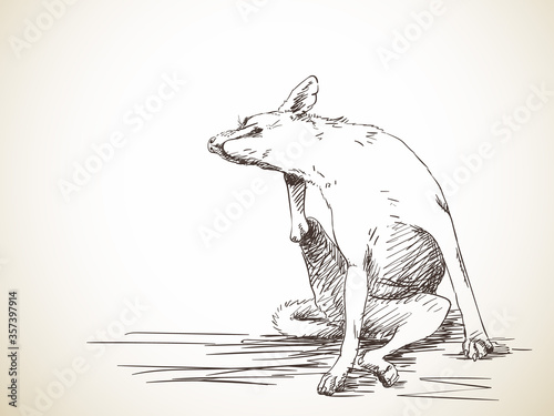dog