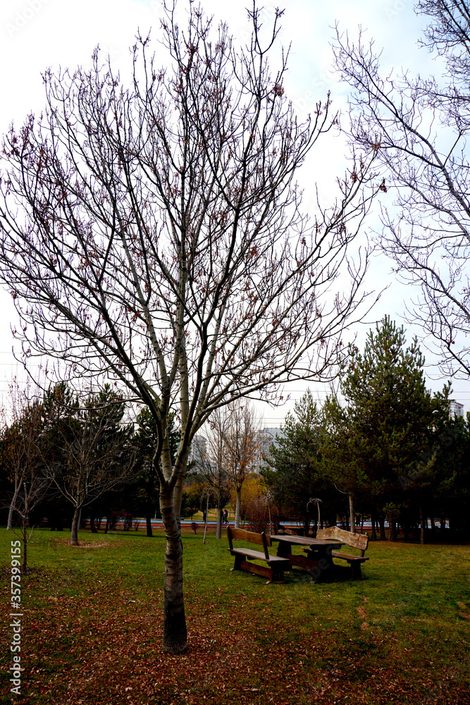 A picnic table in a park in autumn. A picnic table in a park in autumn.
