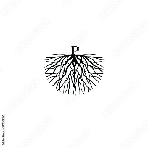 illustration of letter P on root logo vector