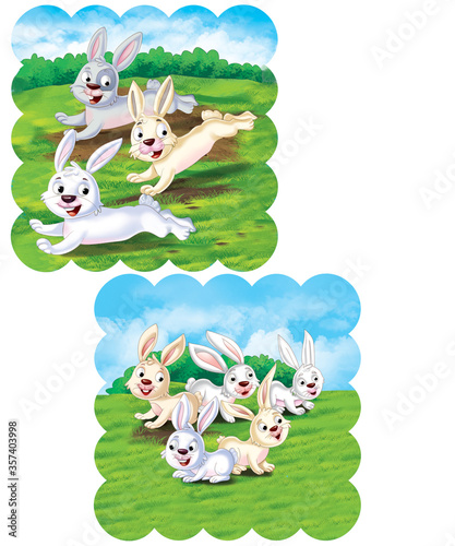 Fototapeta Naklejka Na Ścianę i Meble -  rabbits running