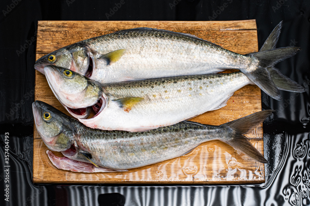 Three Australian Salmon, Arripis trutta or Kahawai, gutted and gilled on a wet board. Important Australian sport and food fish. Three Australian Salmon, Arripis trutta or Kahawai, gutted and gilled on a wet board. Important Australian sport and food fish.