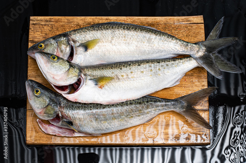 Three Australian Salmon, Arripis trutta or Kahawai, gutted and gilled on a wet board. Important Australian sport and food fish. photo