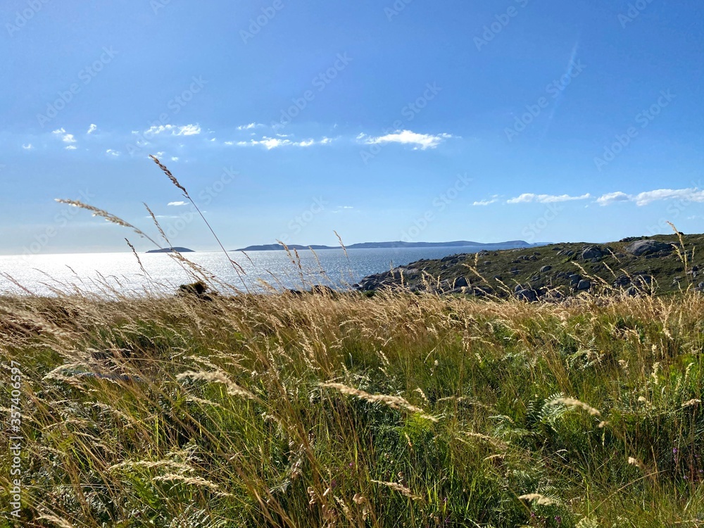 Obraz premium Prado con las islas ons de fondo