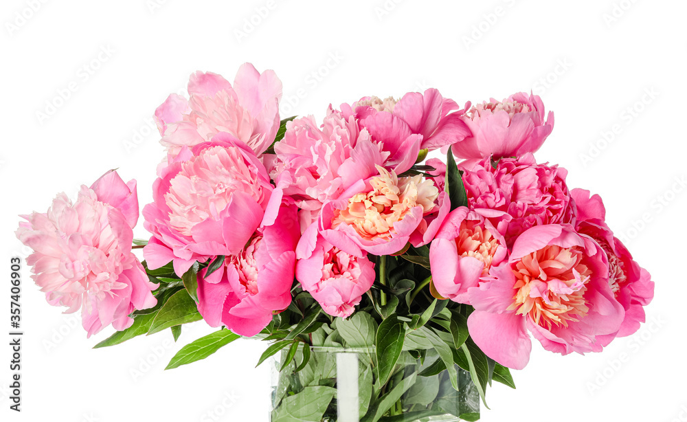 Beautiful peony flowers on white background Beautiful peony flowers on white background