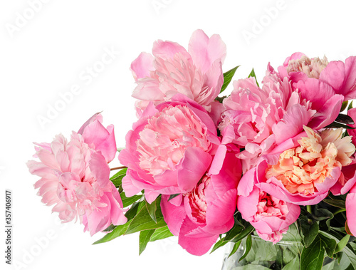 Fototapeta Naklejka Na Ścianę i Meble -  Beautiful peony flowers on white background