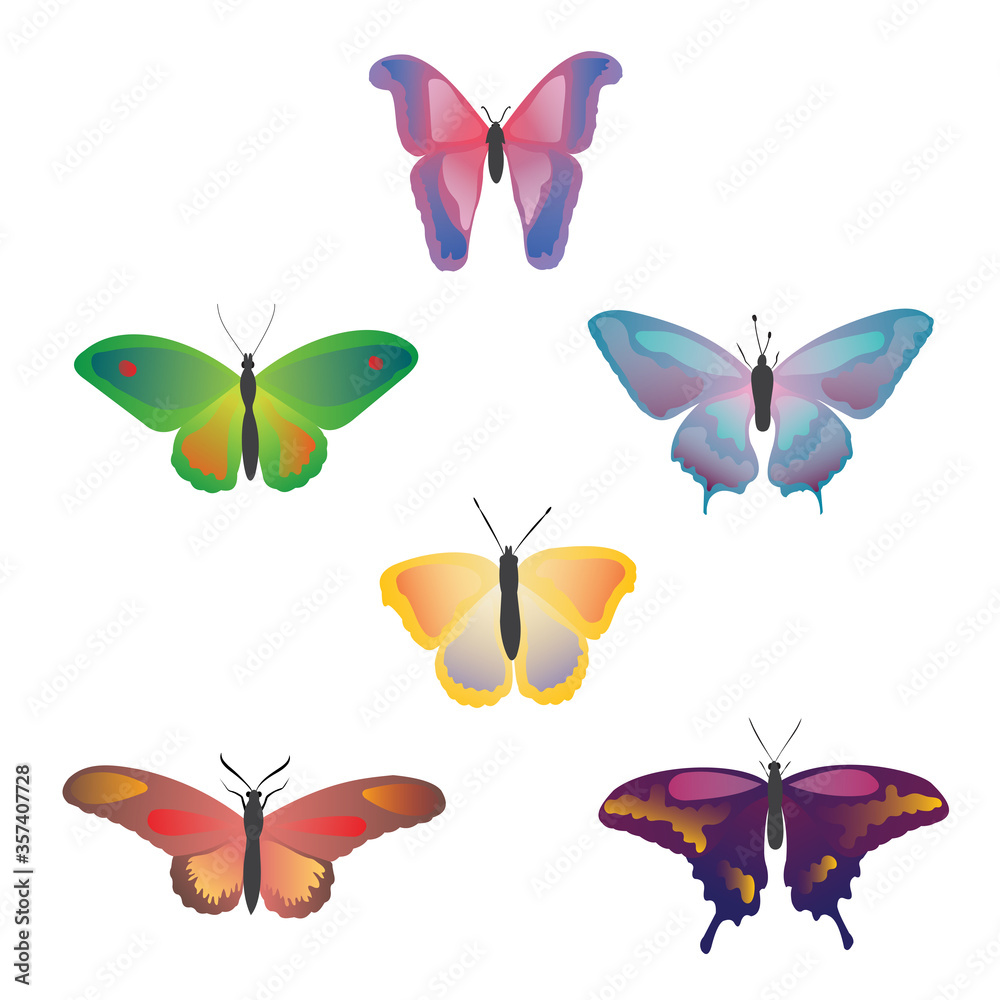 Color drawing butterfly. Beautiful butterflies on a white background for design. Collection set of colorful butterflies. Hand drawn isolated vector illustration.