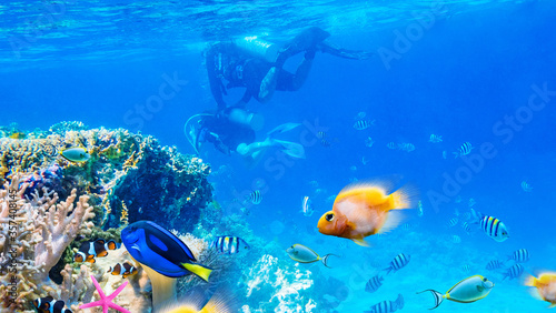 Beautifiul underwater world with tropical fish and divers