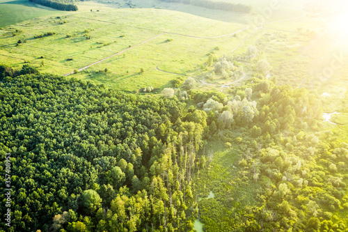 Green trees and meadow in sinrise, aerial view