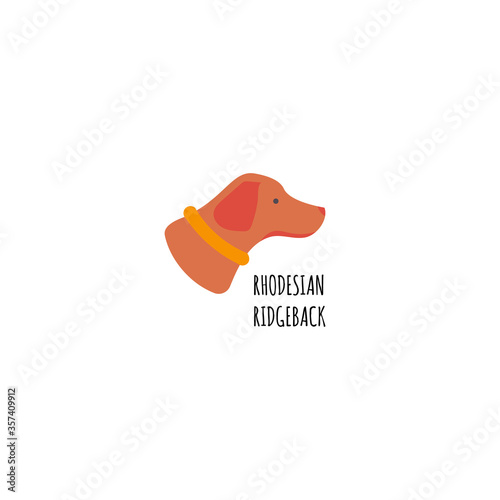 Funny cartoon style icon of rhodesian ridgeback for different design. Cute hunting dog with text.