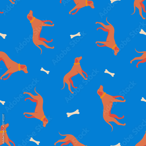 Simple background with cute family dog. Seamless pattern with funny cartoon style icon of rhodesian ridgeback. 